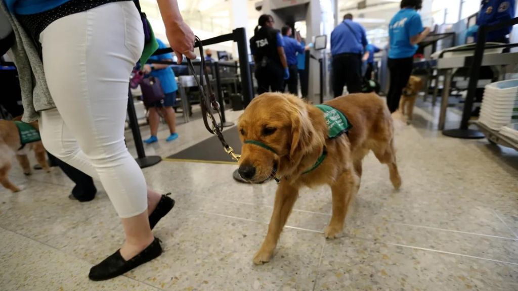 Pet-Friendly Travel Facilities at OAK